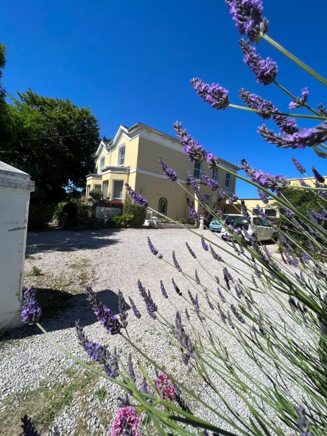 Large Three Bed Two Bathroom Flat In Central Torquay Exterior foto